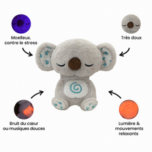 Charger l'image dans la galerie, Le Koala apaisant