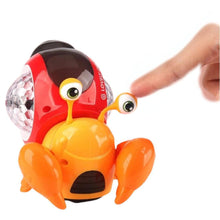 Charger l'image dans la galerie, Le Bernard-l’Hermite enchanté