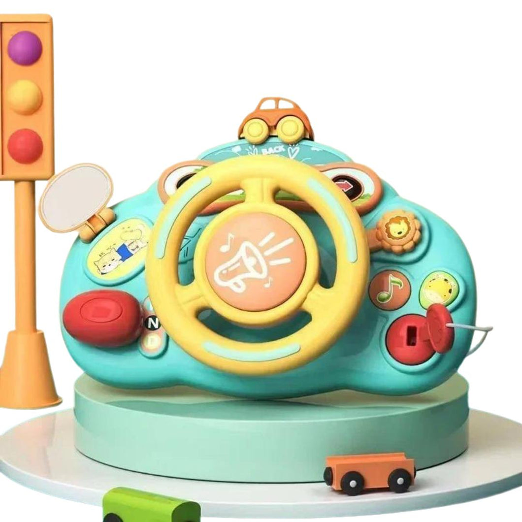 Volant Mini Pilote